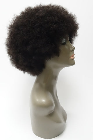 Afro Wig 6" | 100% Human Hair Wig